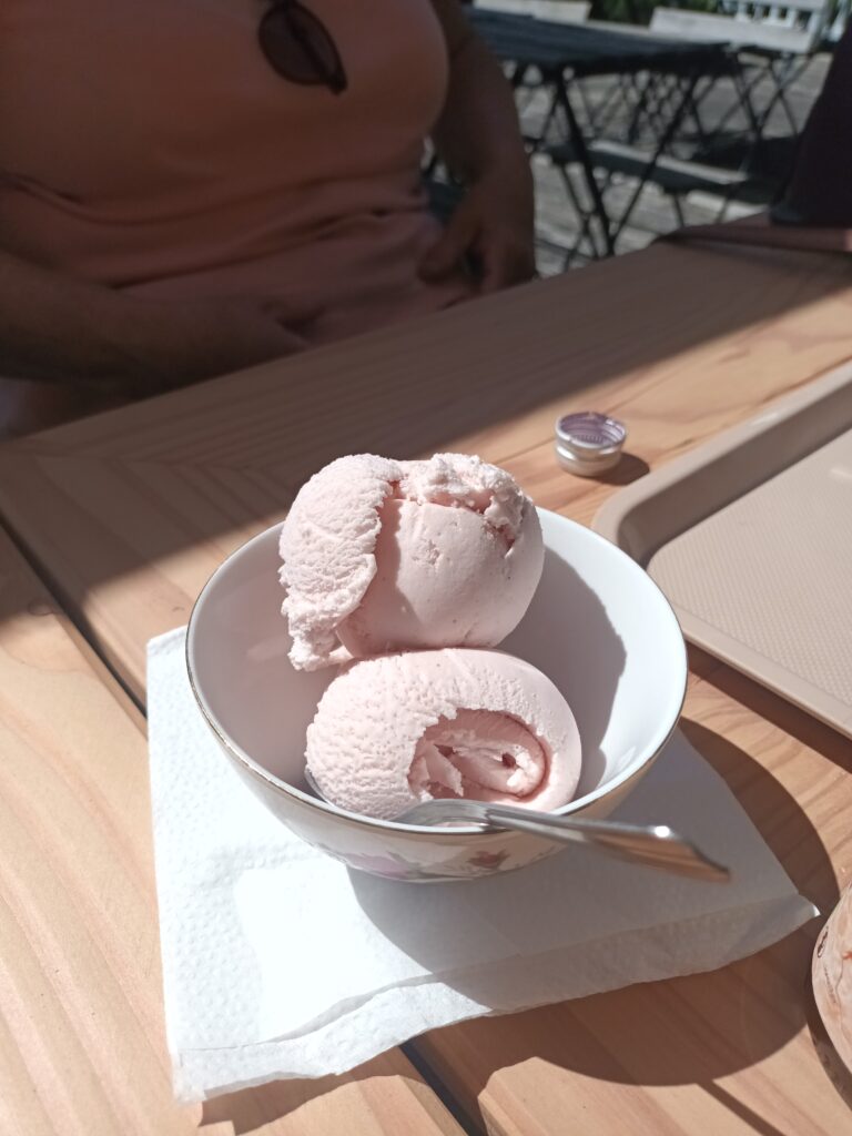 Glace à la rose dégustée à la roseraie de Doué-la-Fontaine au printemps.