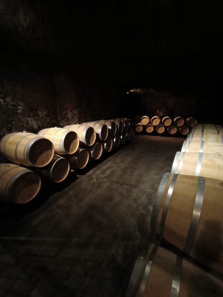 Tonneaux de vin dans les caves troglodytiques de Saumur, utilisés pour le vieillissement des vins de Loire.