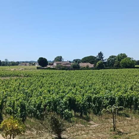 Visiter Auvers-sur-Oise en 1 journée : sur les pas de Van Gogh et des impressionnistes