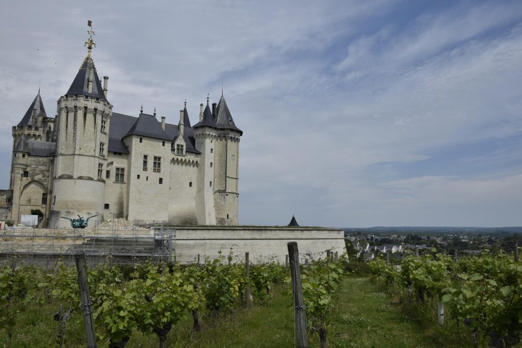 Vue du château de Saumur perché sur sa colline avec les vignobles saumurois au premier plan.